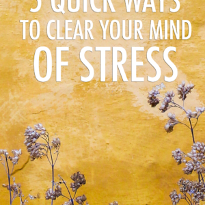 5 Quick Ways To Clear Your Mind of Stress!